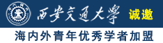 屌插屄免费小说诚邀海内外青年优秀学者加盟西安交通大学